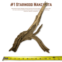 'Starwood' Manzanita | WYSIWYG Pieces