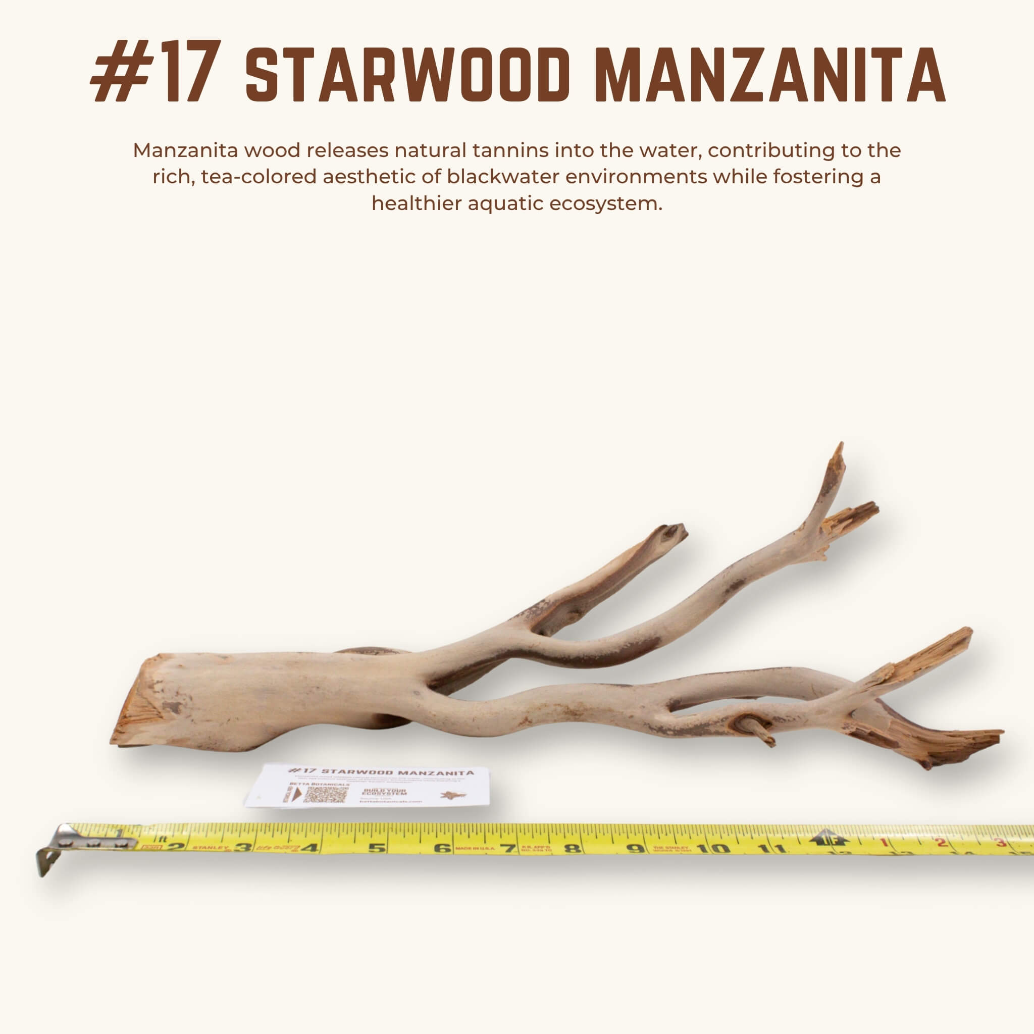 Starwood Manzanita | WYSIWYG Pieces