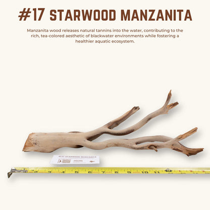 Starwood Manzanita | WYSIWYG Pieces