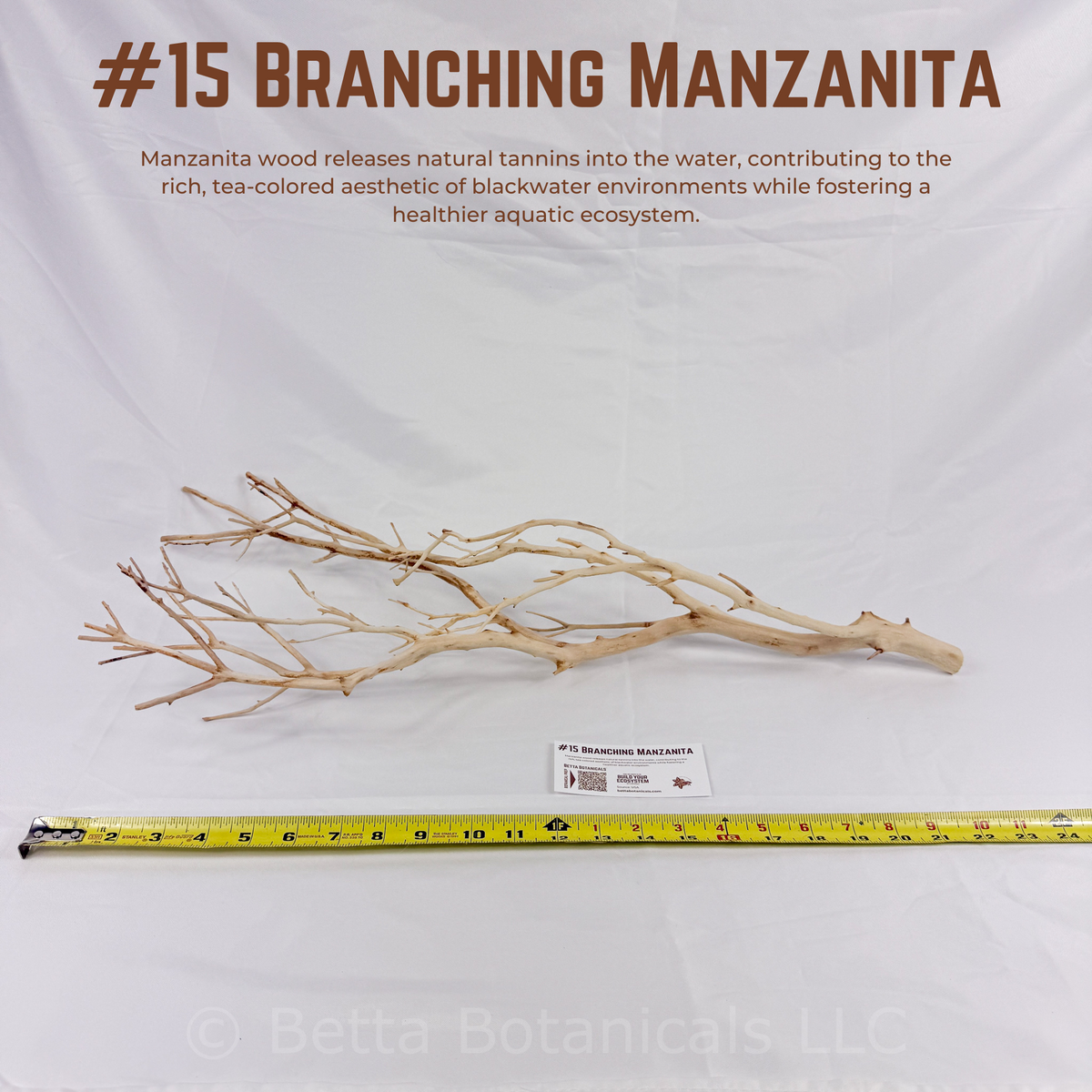 Branching Manzanita | WYSIWYG Pieces