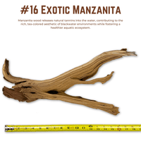 Exotic Manzanita | WYSIWYG Pieces