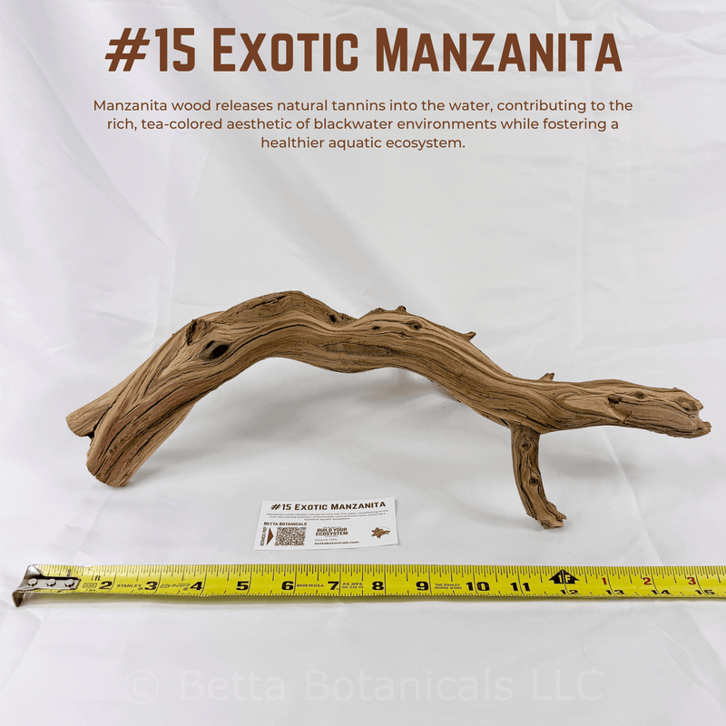 Exotic Manzanita | WYSIWYG Pieces