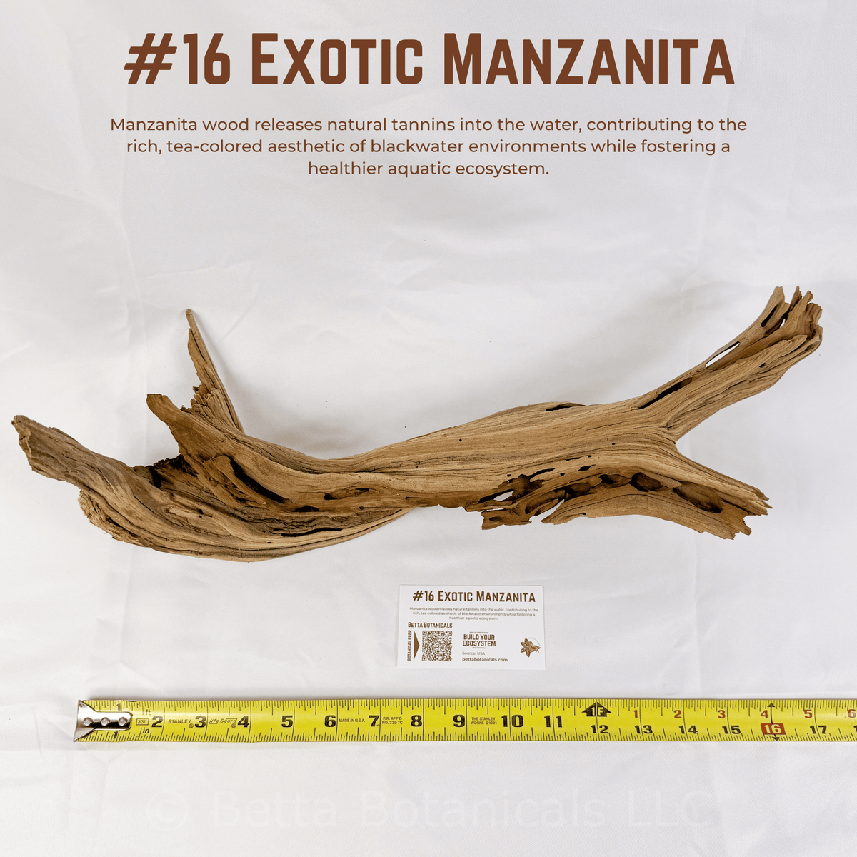 Exotic Manzanita | WYSIWYG Pieces