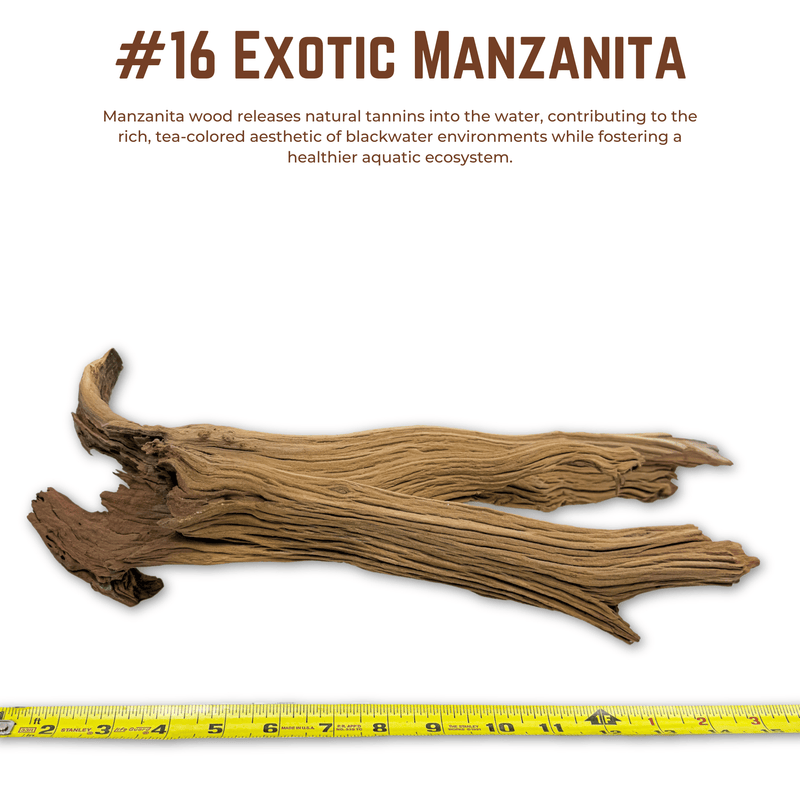 Exotic Manzanita | WYSIWYG Pieces