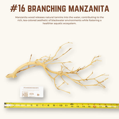 Branching Manzanita | WYSIWYG Pieces