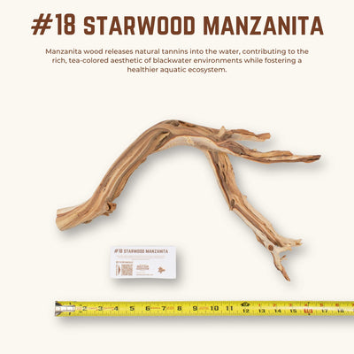 Starwood Manzanita | WYSIWYG Pieces