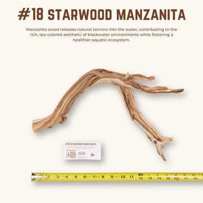 Starwood Manzanita | WYSIWYG Pieces