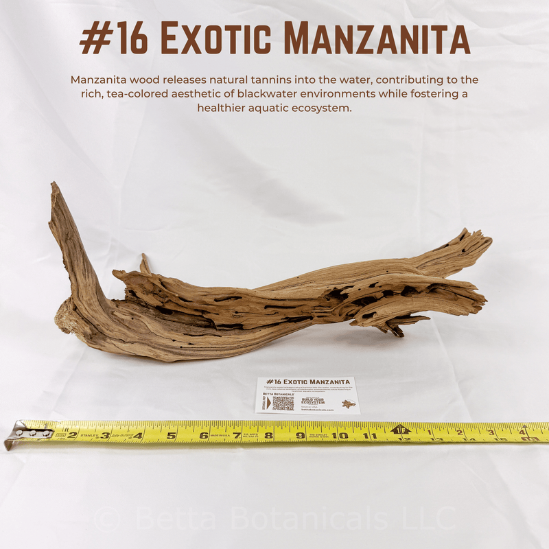 Exotic Manzanita | WYSIWYG Pieces