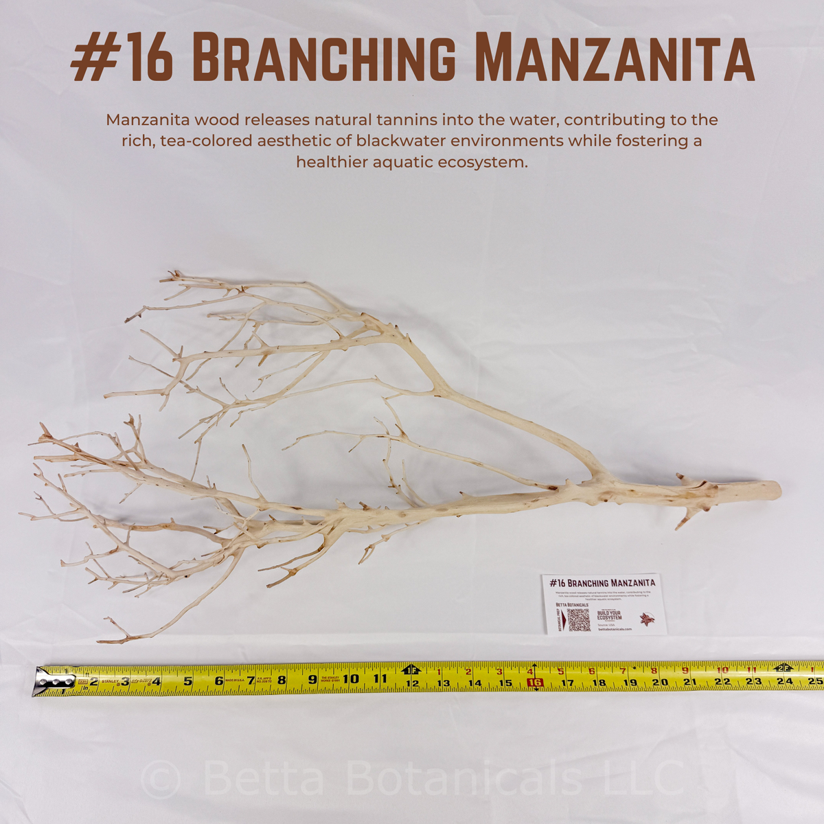 Branching Manzanita | WYSIWYG Pieces