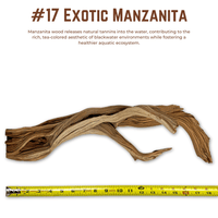 Exotic Manzanita | WYSIWYG Pieces