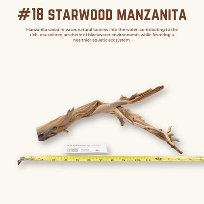 Starwood Manzanita | WYSIWYG Pieces