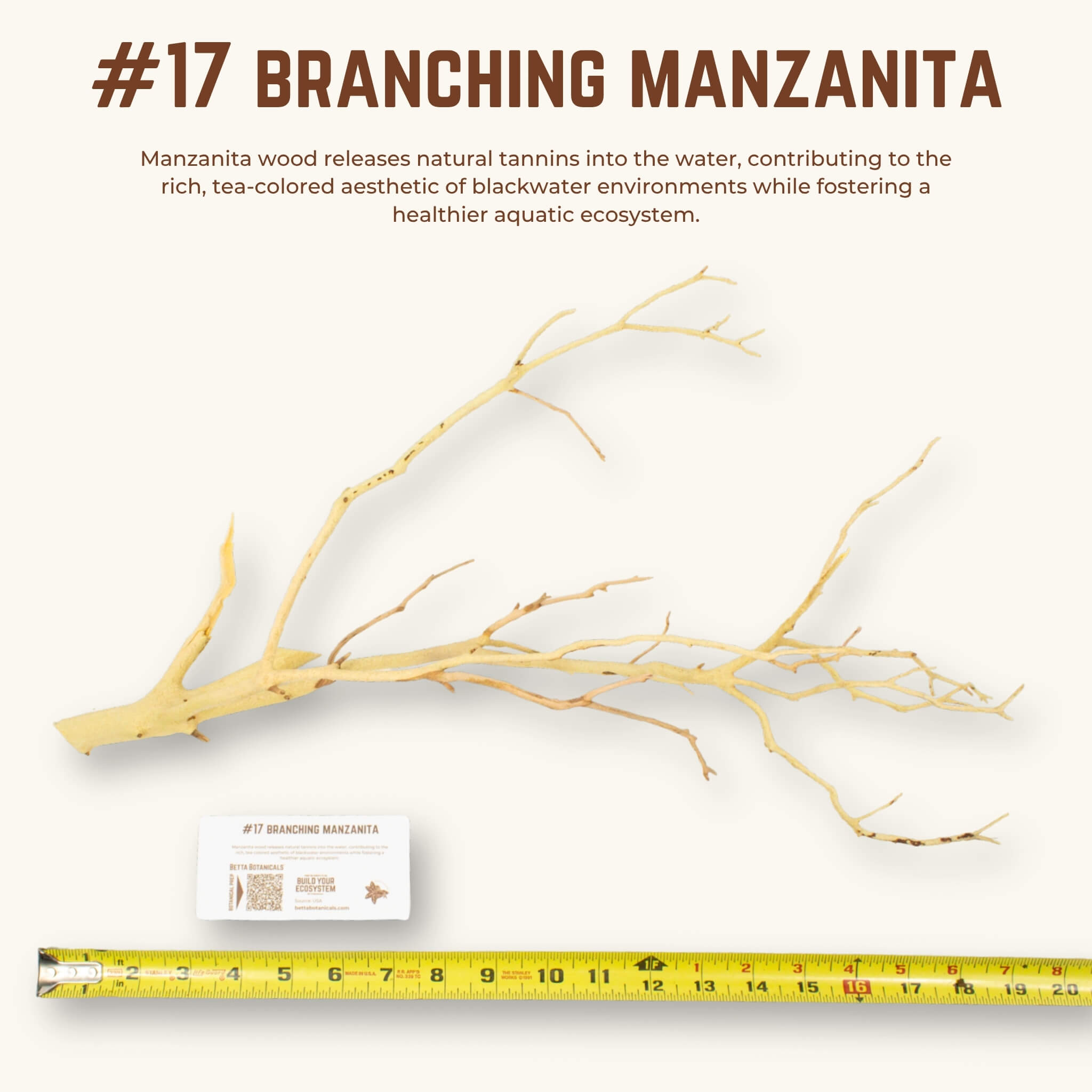 Branching Manzanita | WYSIWYG Pieces
