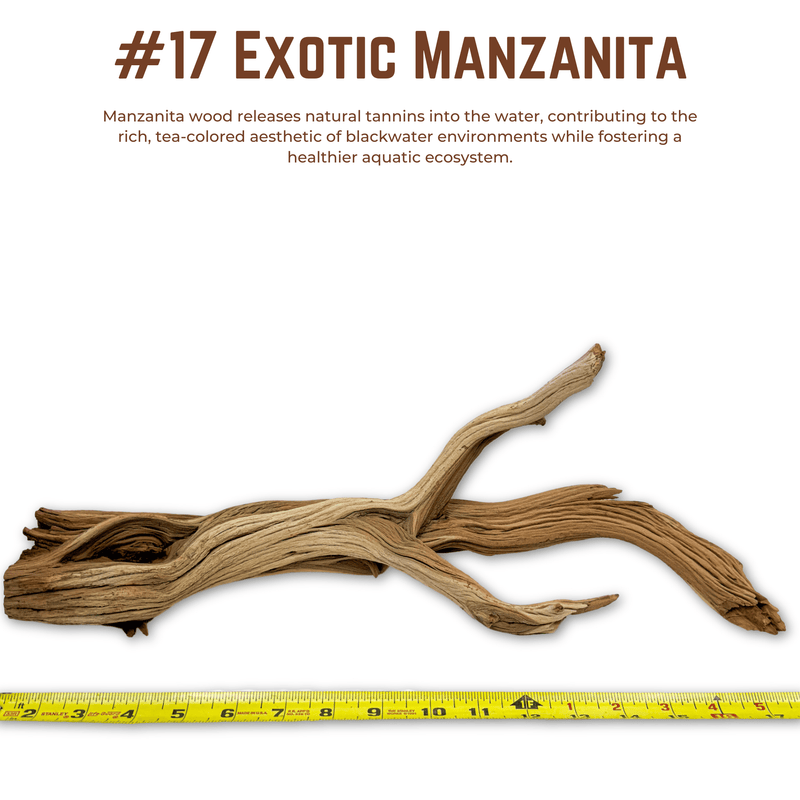 Exotic Manzanita | WYSIWYG Pieces