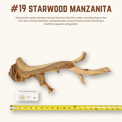 Starwood Manzanita | WYSIWYG Pieces