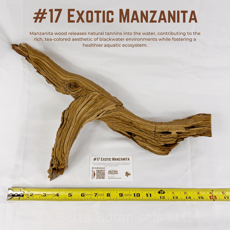 Exotic Manzanita | WYSIWYG Pieces