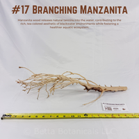 Branching Manzanita | WYSIWYG Pieces