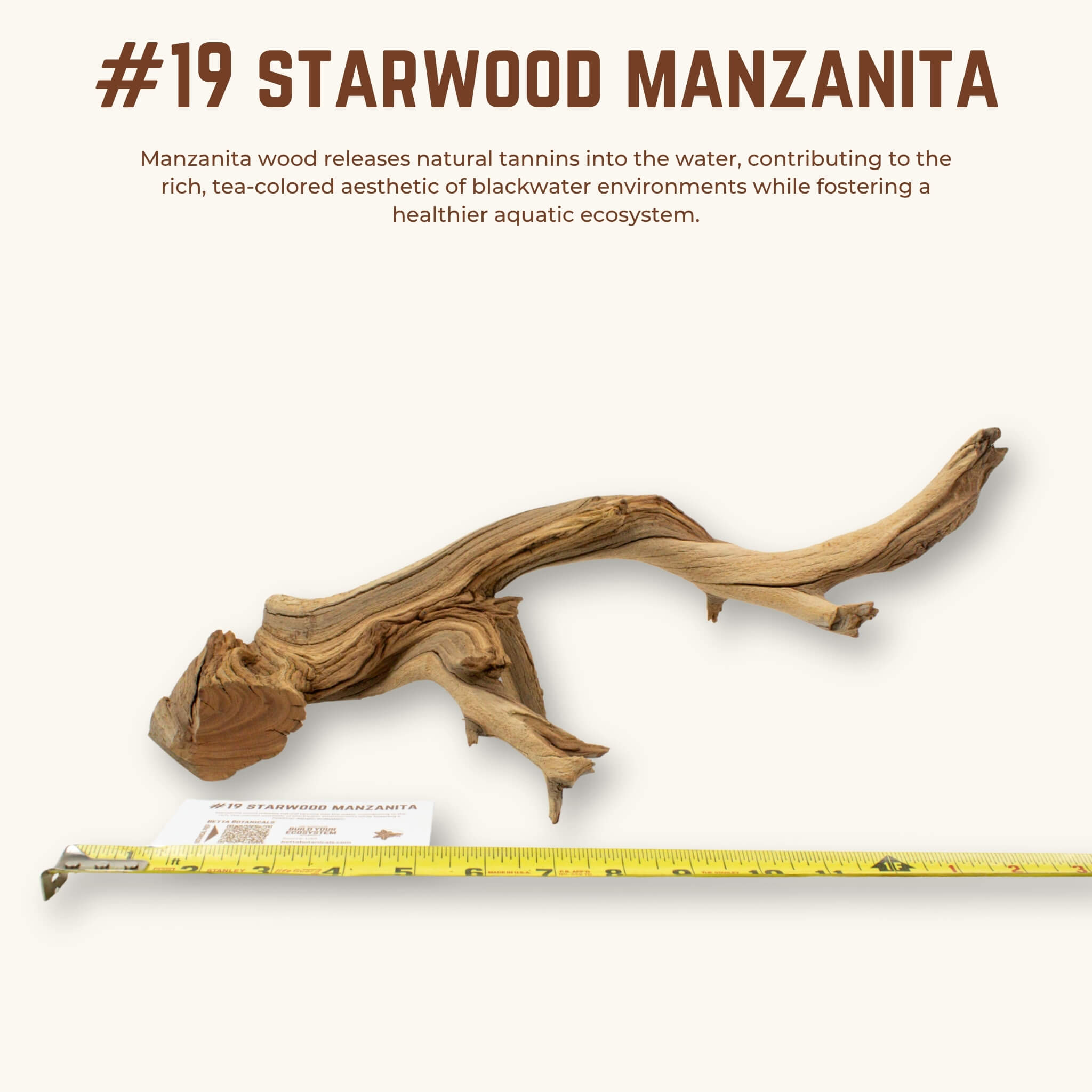 Starwood Manzanita | WYSIWYG Pieces
