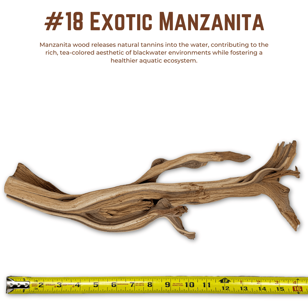 Exotic Manzanita | WYSIWYG Pieces