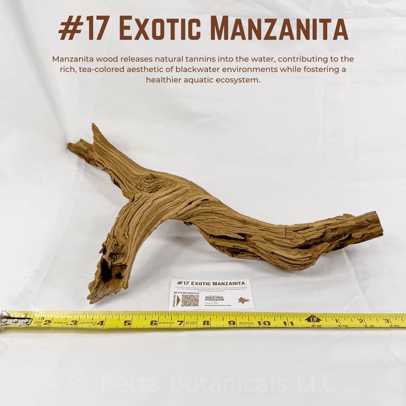 Exotic Manzanita | WYSIWYG Pieces