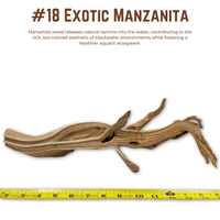 Exotic Manzanita | WYSIWYG Pieces