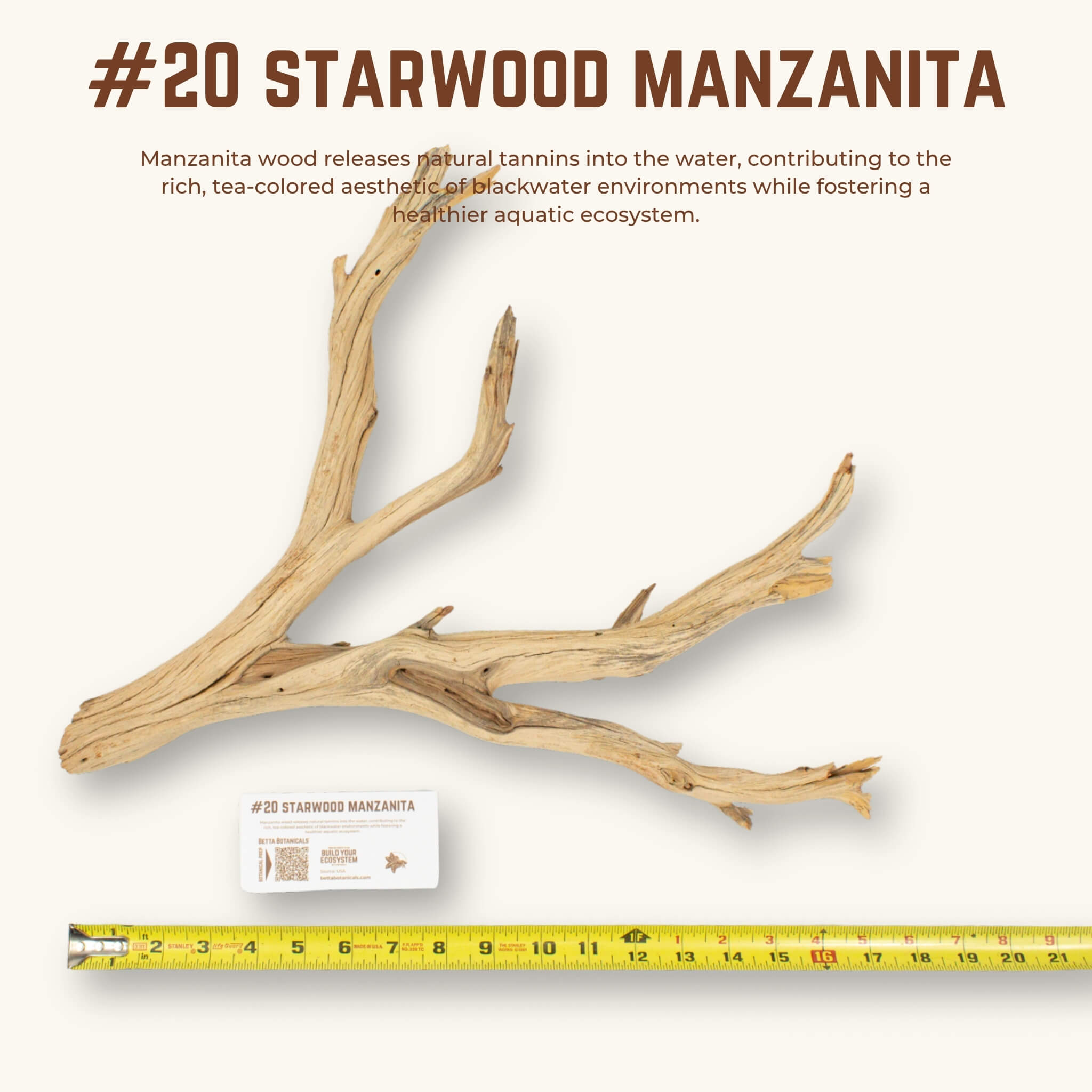 Starwood Manzanita | WYSIWYG Pieces