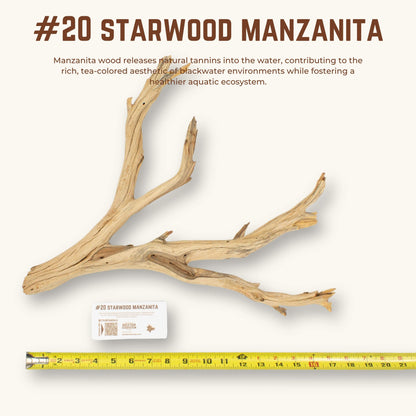 Starwood Manzanita | WYSIWYG Pieces