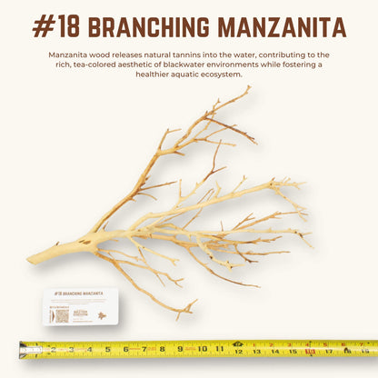 Branching Manzanita | WYSIWYG Pieces