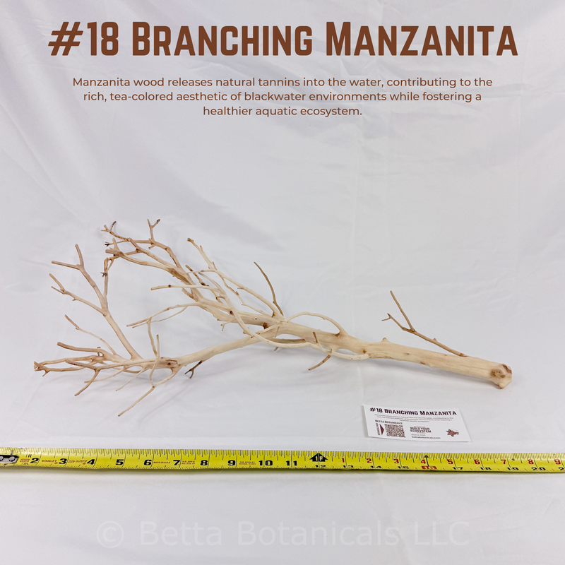 Branching Manzanita | WYSIWYG Pieces