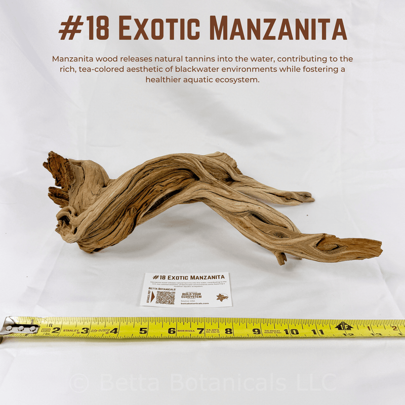 Exotic Manzanita | WYSIWYG Pieces