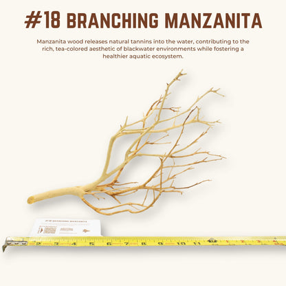 Branching Manzanita | WYSIWYG Pieces