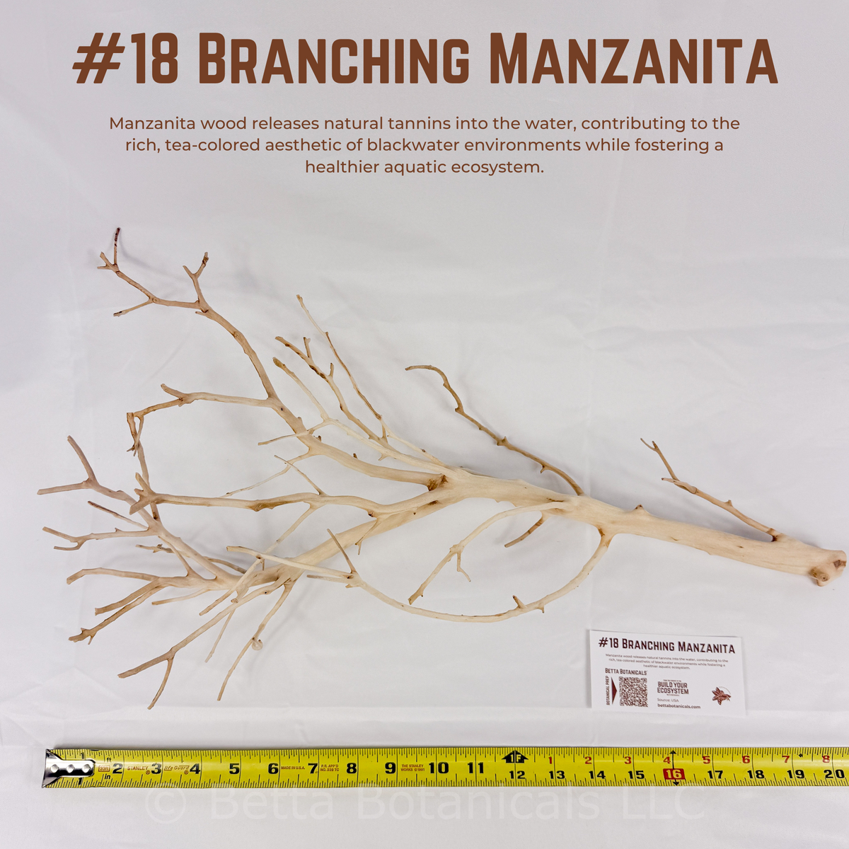 Branching Manzanita | WYSIWYG Pieces