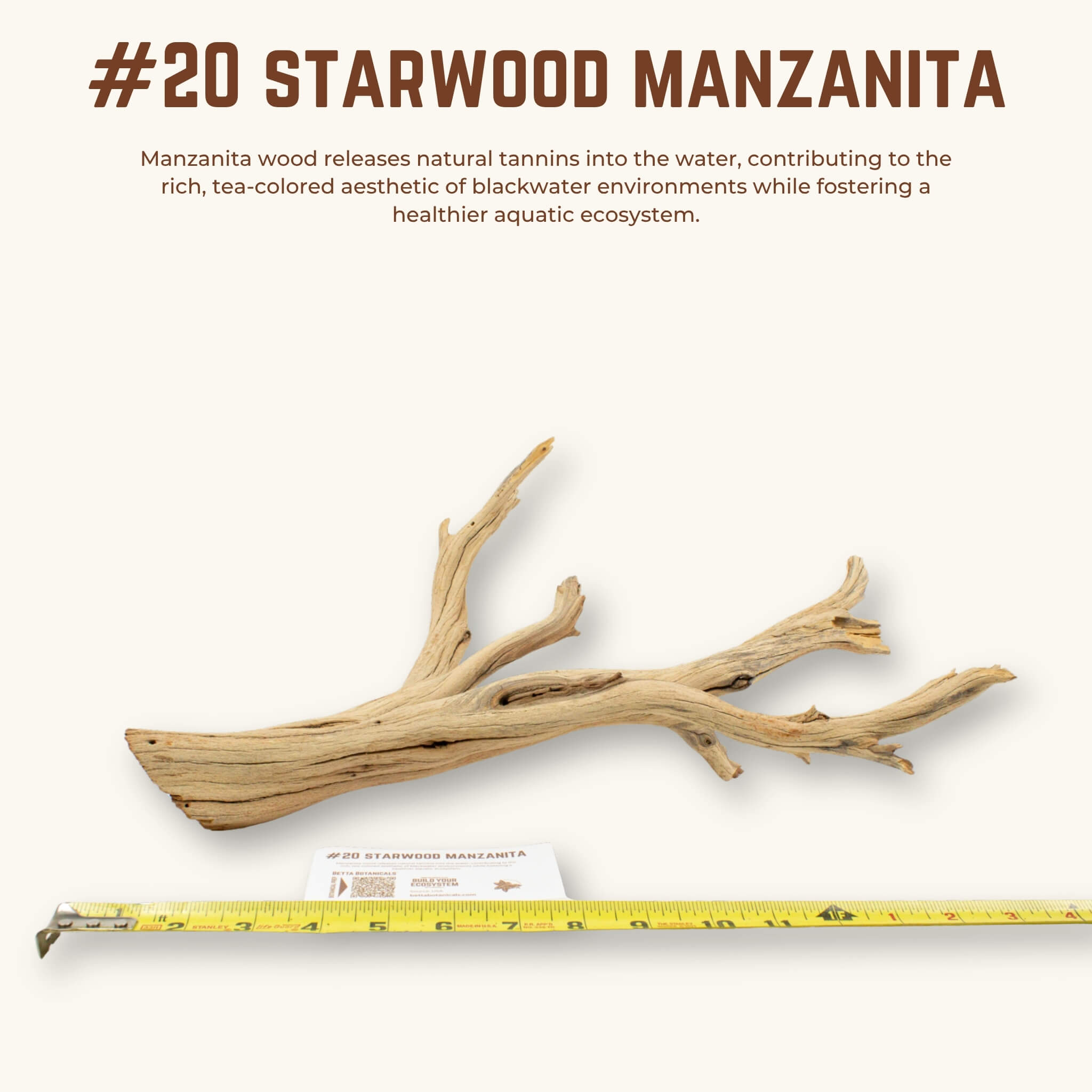 Starwood Manzanita | WYSIWYG Pieces