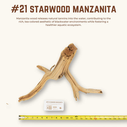 Starwood Manzanita | WYSIWYG Pieces