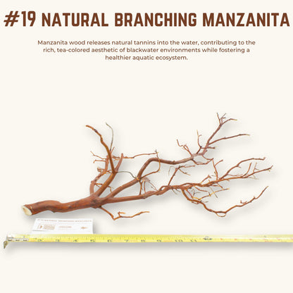 Natural Branching Manzanita | WYSIWYG Pieces