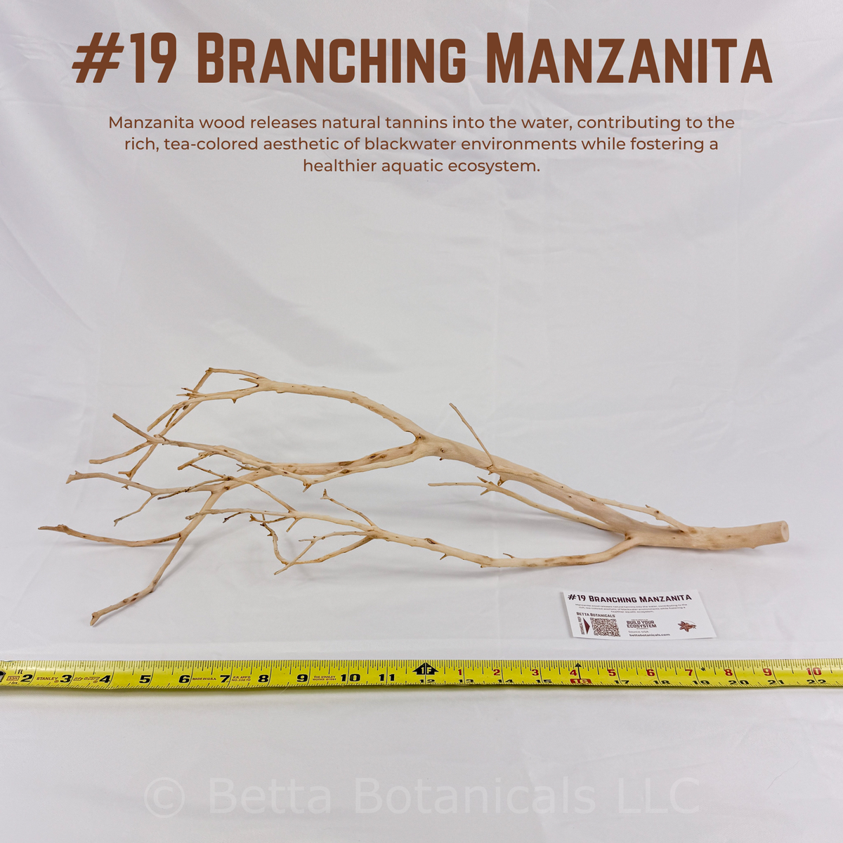 Branching Manzanita | WYSIWYG Pieces