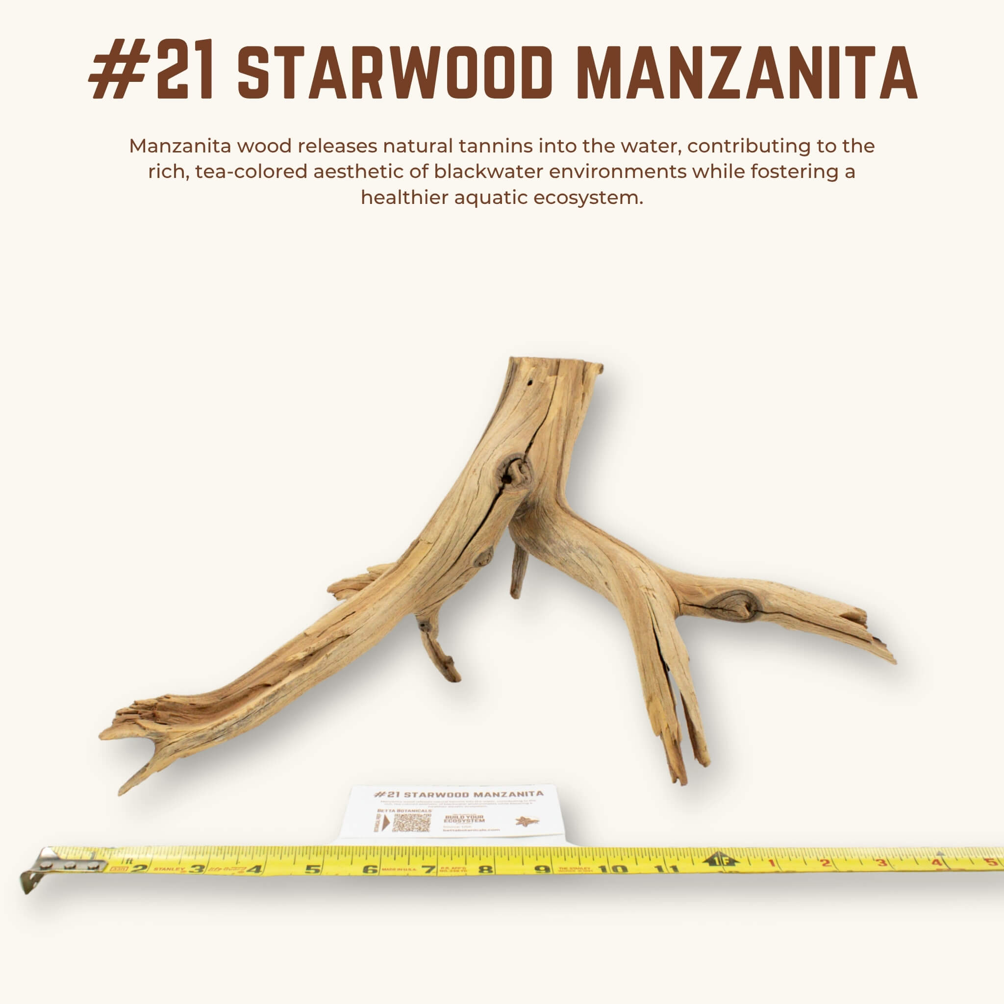 Starwood Manzanita | WYSIWYG Pieces