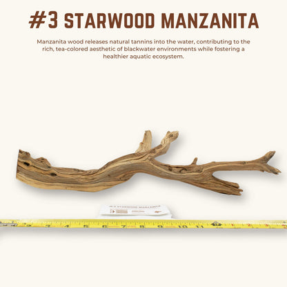 Starwood Manzanita | WYSIWYG Pieces