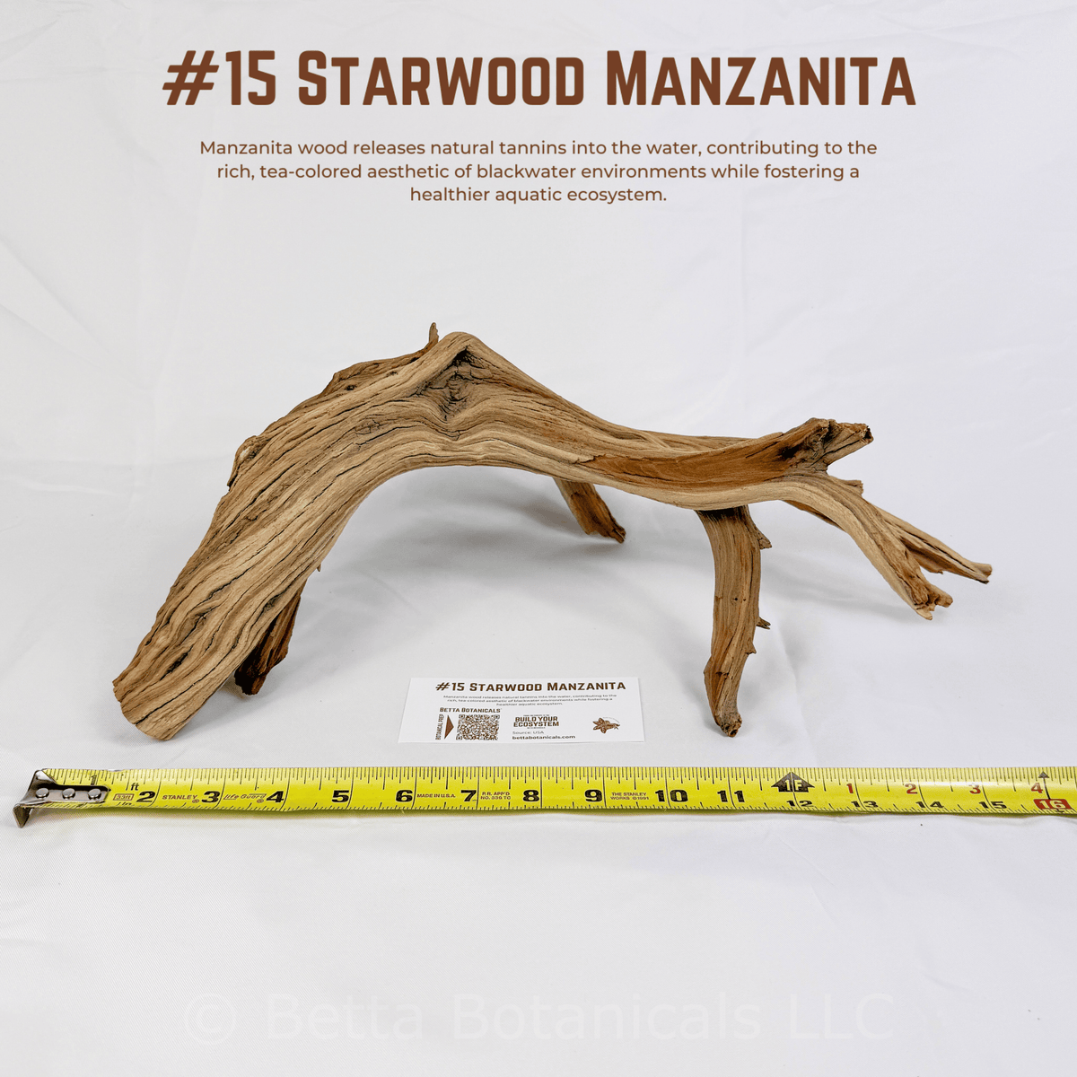 'Starwood' Manzanita | WYSIWYG Pieces