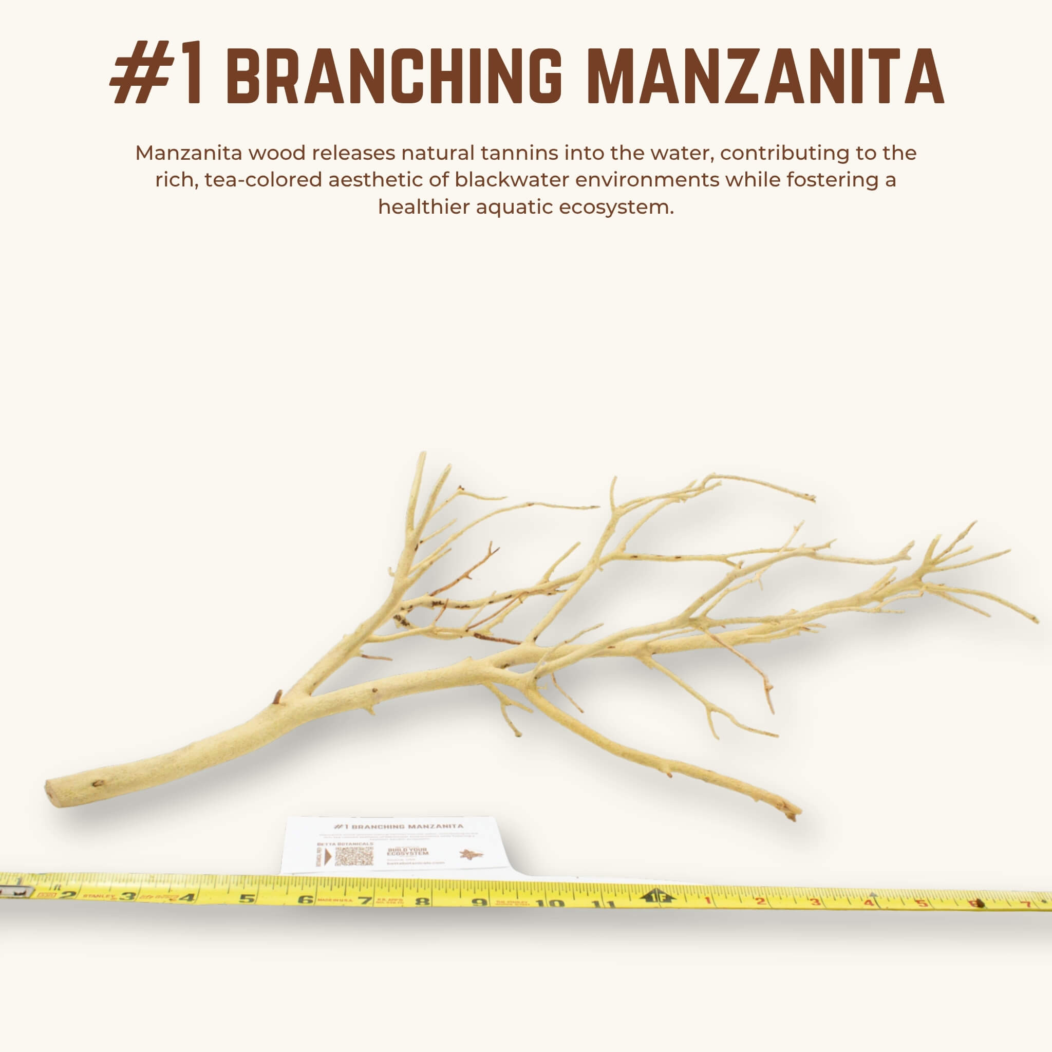 Branching Manzanita | WYSIWYG Pieces