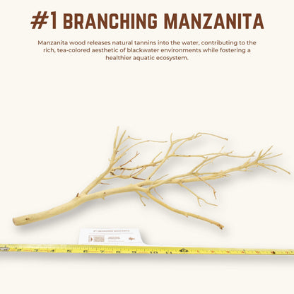 Branching Manzanita | WYSIWYG Pieces