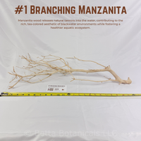 Branching Manzanita | WYSIWYG Pieces