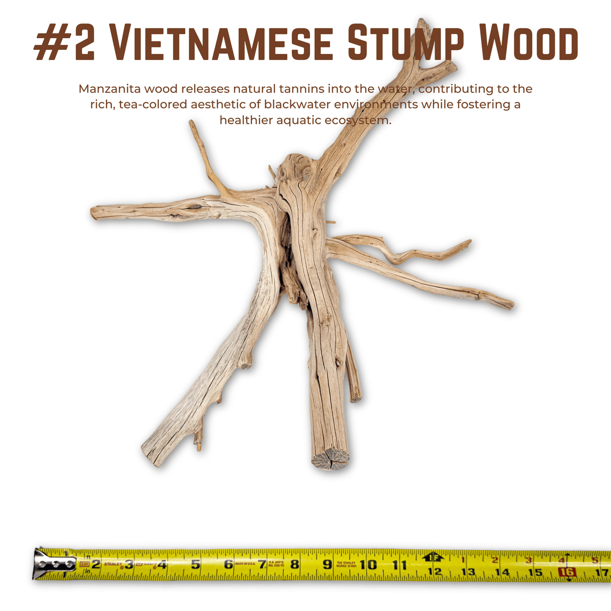 Vietnamese Stump Wood | WYSIWYG Pieces