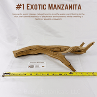 Exotic Manzanita | WYSIWYG Pieces