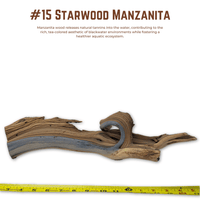 'Starwood' Manzanita | WYSIWYG Pieces