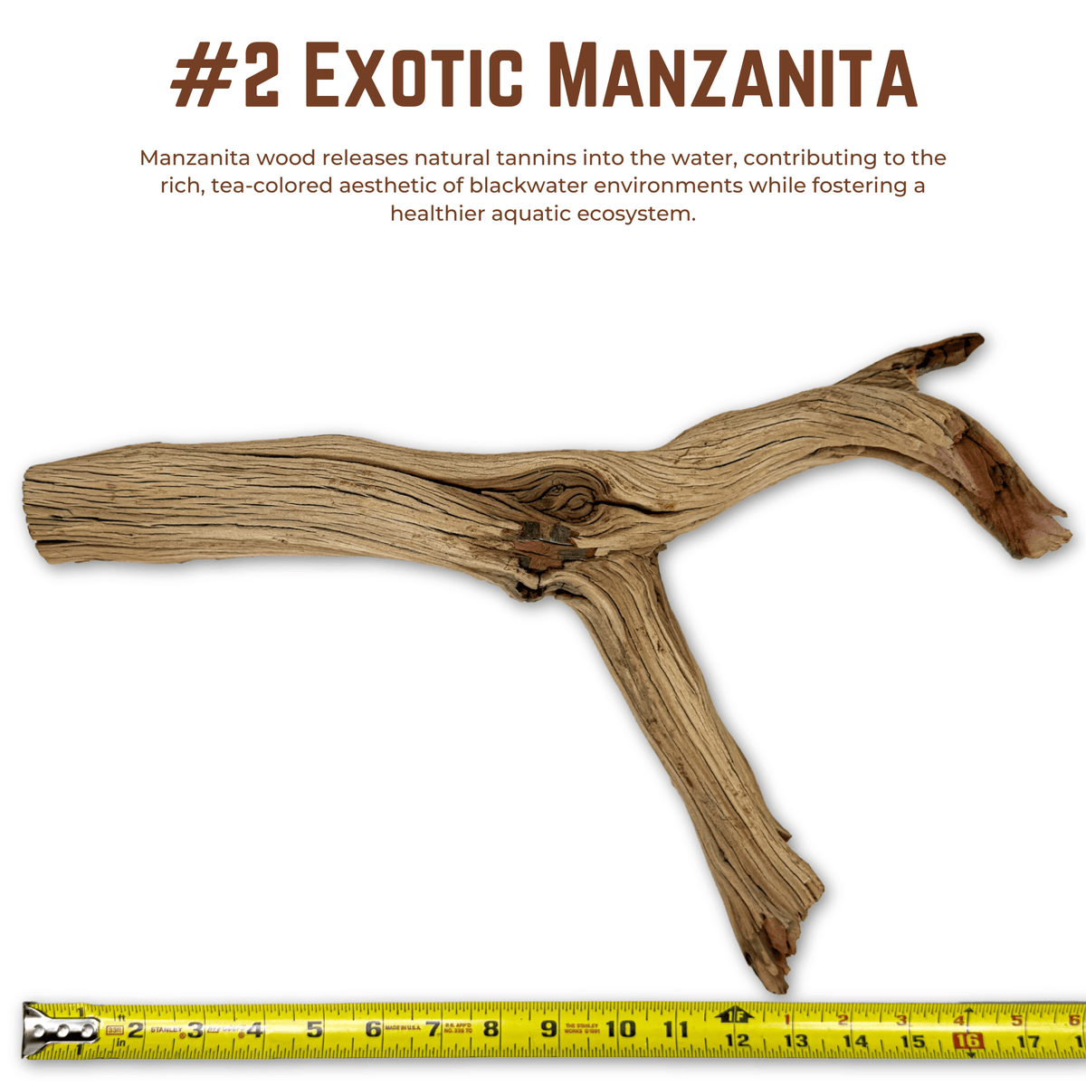 Exotic Manzanita | WYSIWYG Pieces