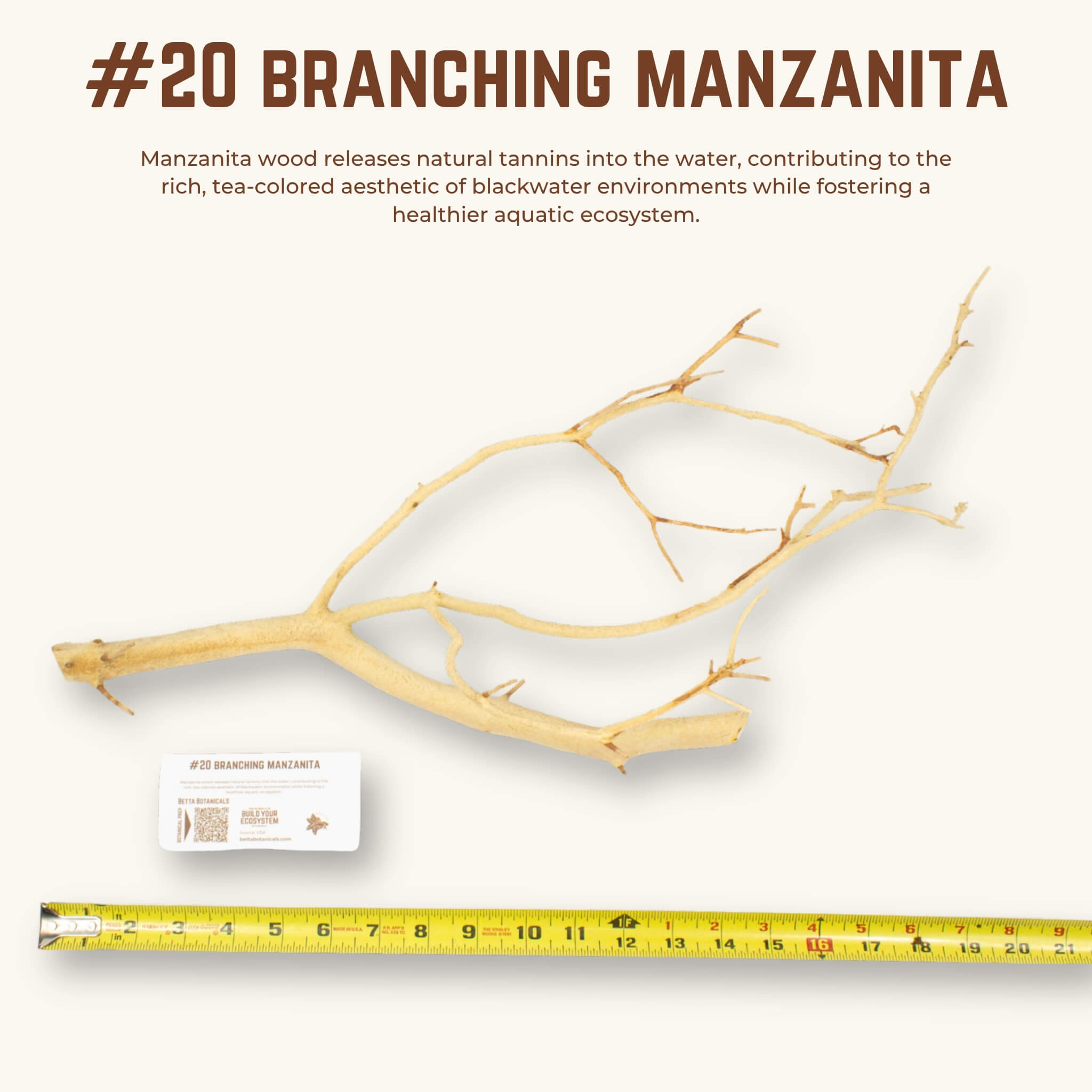Branching Manzanita | WYSIWYG Pieces