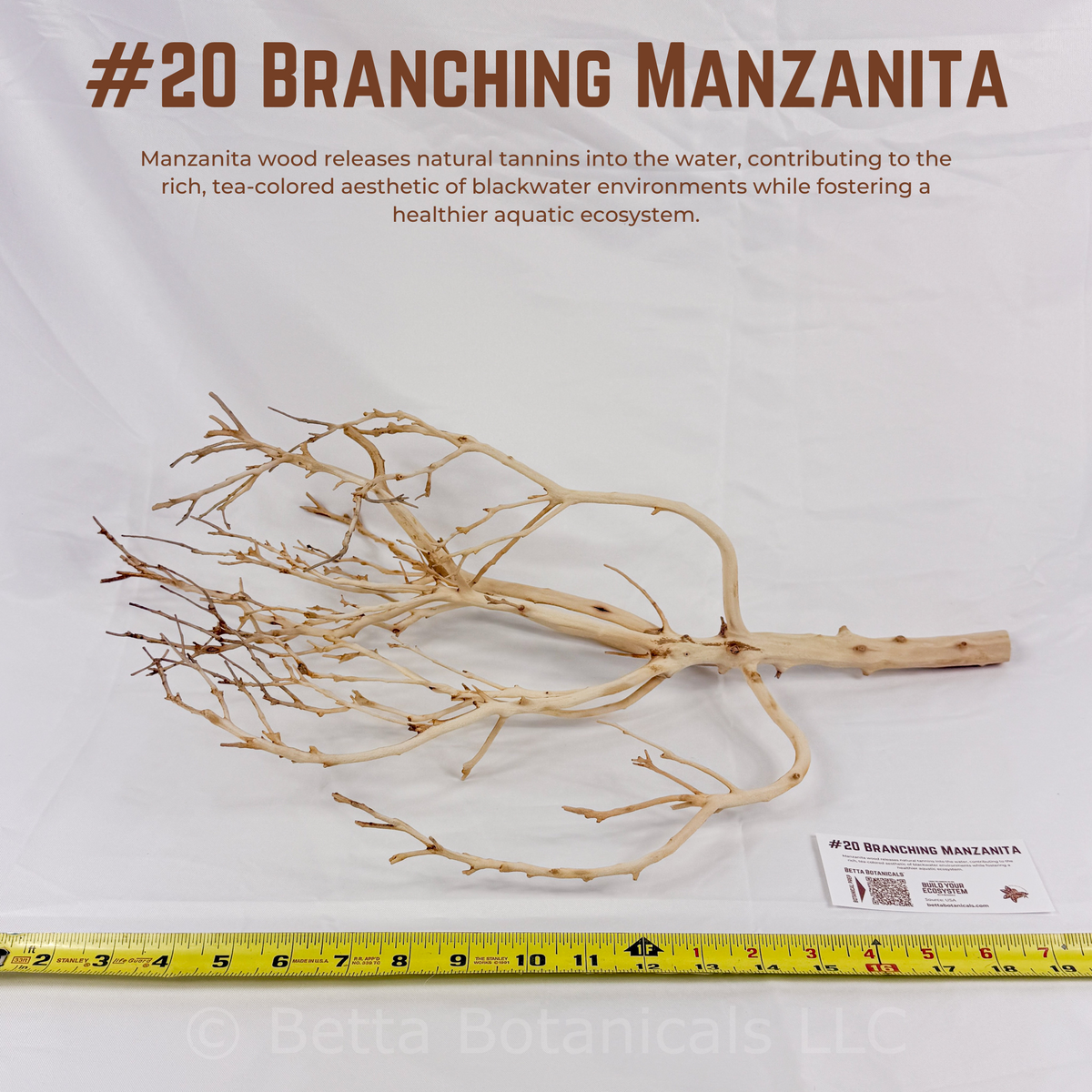 Branching Manzanita | WYSIWYG Pieces