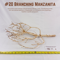 Branching Manzanita | WYSIWYG Pieces