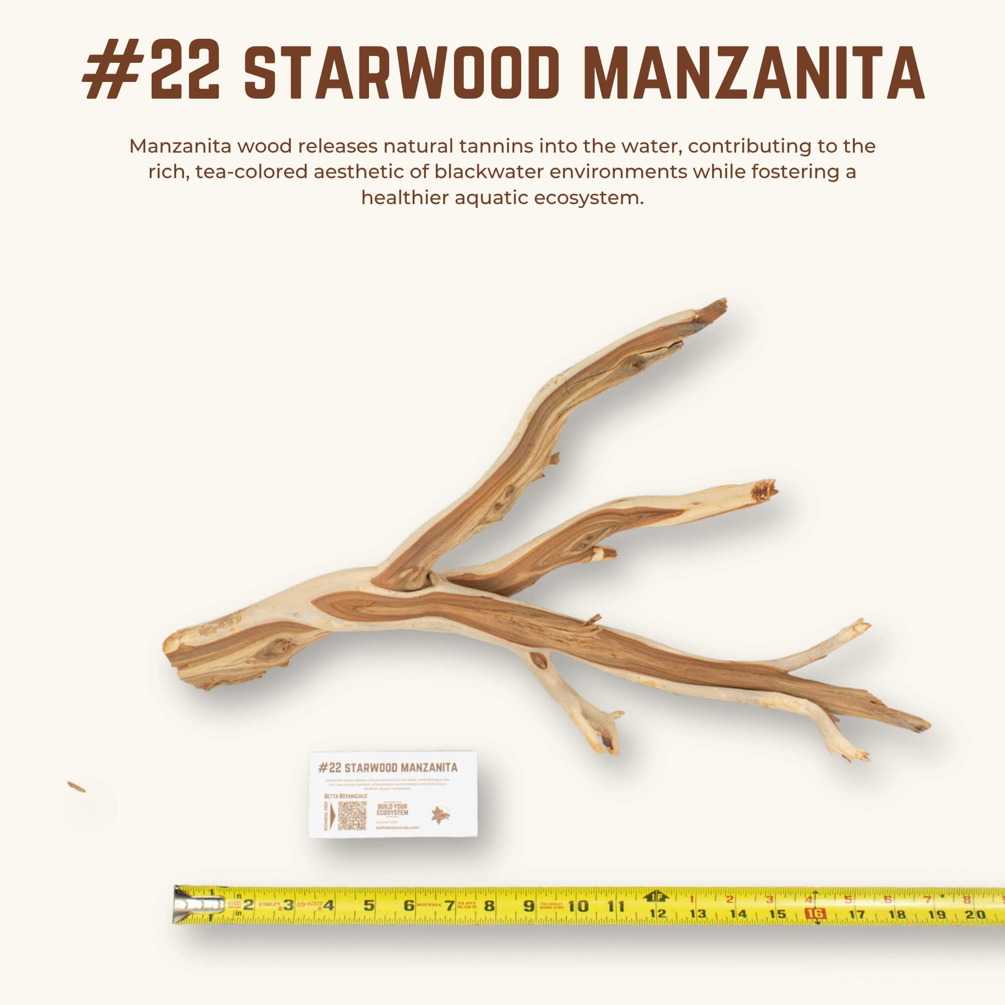 Starwood Manzanita | WYSIWYG Pieces