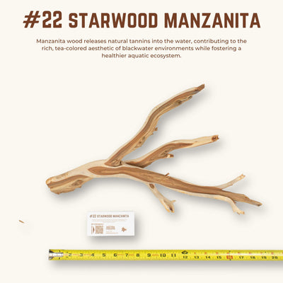 Starwood Manzanita | WYSIWYG Pieces